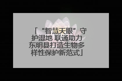“智慧天眼”守护湿地 联通助力东明县打造生物多样性保护新范式